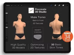 Procreate 3d Model - Torso Body Male 3D model