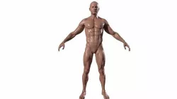Realistic Body Builder character men 3D model