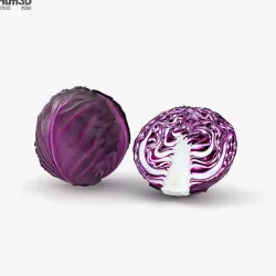 Red Cabbage 3D model