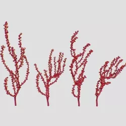 Red Grape Caulerpa single SET 3D model