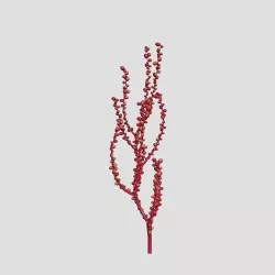 Red Grape Caulerpa single V1 3D model