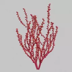 Red Grape Caulerpa V1 3D model