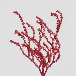 Red Grape Caulerpa V2 3D model