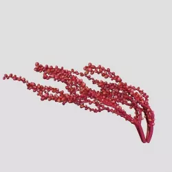 Red Grape Caulerpa V3 3D model