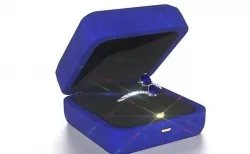 REQUEST RING 3D model