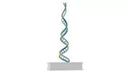 RNA Statue 3D model