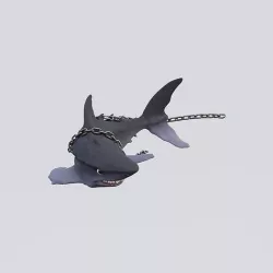 Shark 3D model