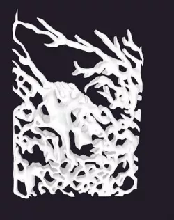 sinaps test 3D model