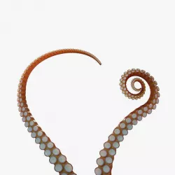 Tentacle Long Low-poly 3D model