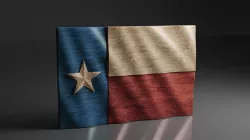 Texas Wavy Flag - CNC Files For Wood - 3D STL Model 3D model