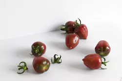 Tomato 021 3D model