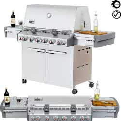 Weber Summit S-670 GBS gas grill 3D model