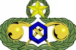 AFEM logos and badges