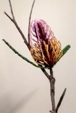 Banksia simplified flower