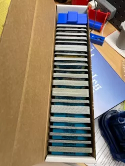Dominion Starter Card Divider
