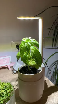 LED lamp for self watering planter