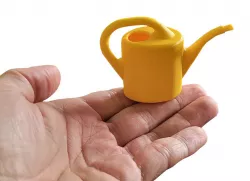 Mini watering can