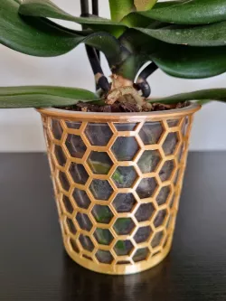 Orchid Basket for plastic pot