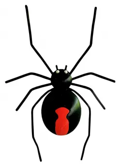 Redback spider