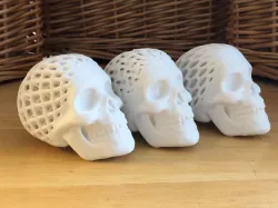 Three Architected Skulls