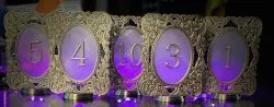 Wedding Table Numbers 2.0