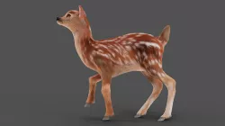 3D Fur Fawn Deer Rigged and Animated Blender Low-poly 3D model
