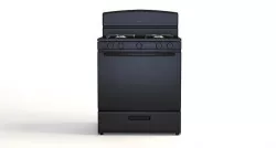 Amana 30 Inch Gas Range With Easyaccess Broiler Door 3D model