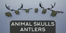 Animal Skulls and Antlers Low-poly 3D model