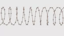 Barbed Wire   3D model