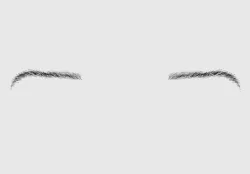 Brown Basic Eyebrow  3D model