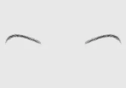 Dark Basic Eyebrow  3D model