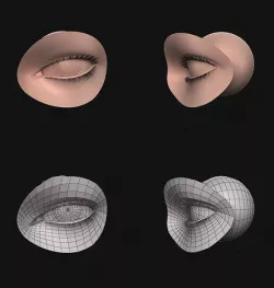 Eye Eyelash 3D model