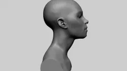 Female Head Form 3D model