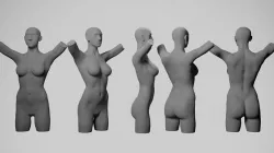 Female Torso 3D model