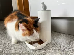 Mini cat feeder for kibbles 