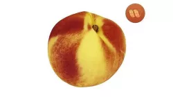 Nectarine - Real-Time Scanned Low-poly 3D model