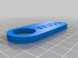 Owusu Key Chain