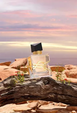 Perfume project YSL 3D model