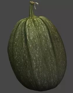 Pumpkin  3D model
