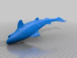 Shark Scan