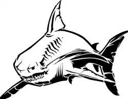 Shark stencil 10