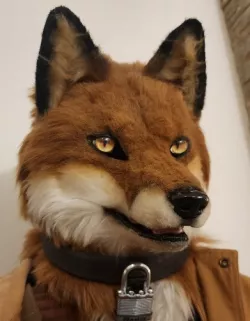 Simple Fursuit Collar (Lockable)