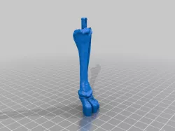 Stegosaurus fixed feet