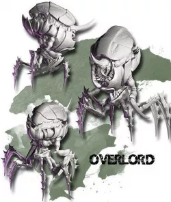 The Overlord 3D model