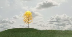 Tree Scene 3D model