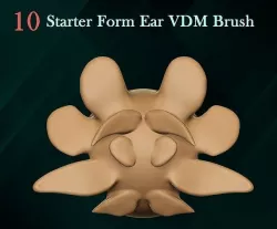 10 Ear VDM Starter Point 3D model