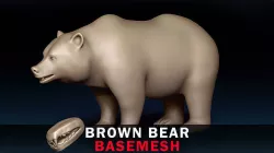 Brown Bear Base Mesh 3D model