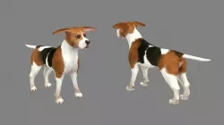 Cartoon beagle - dog Low-poly 3D model