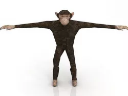 Chimp 3D model 3D model