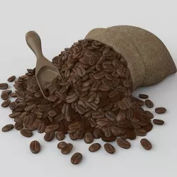 Coffee 3D model